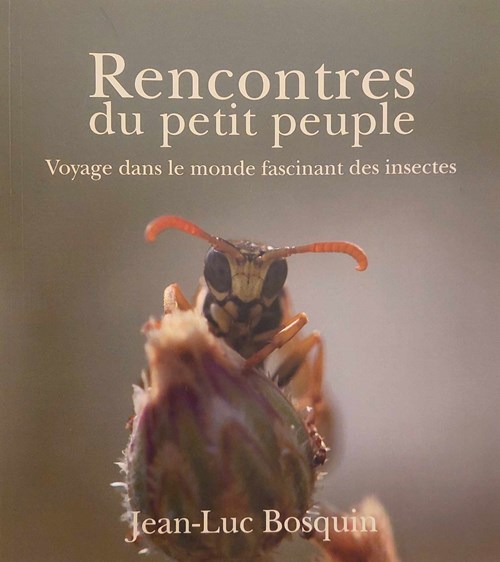 Rencontres du petit peuple, voyage dans le monde fascinant des insectes