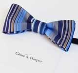 13536_2_come-blue-lines-2.jpg