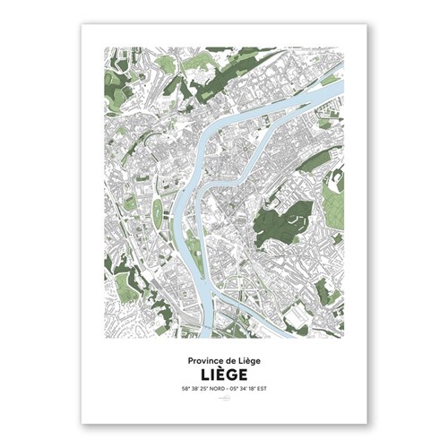 12749_1_COPERNICUS -poster-liege-ville-carte-8.jpg