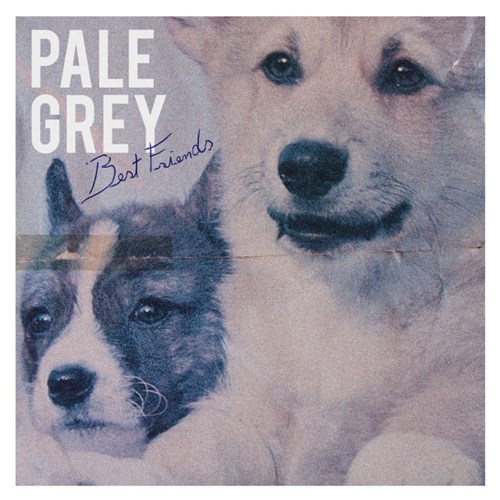 Pale Grey Best Friends - CD